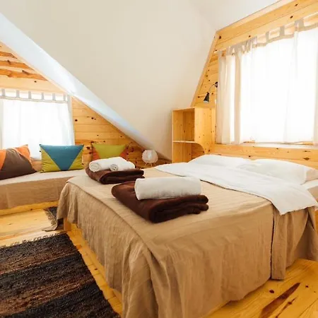 Backcountry 科帕奥尼克