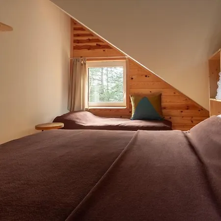 Backcountry 科帕奥尼克